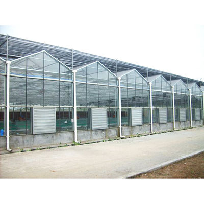 Qualität  Tomato Mushroom Growing with Commercial Hydroponic Systems Gothic Polycarbonate Cover Type Greenhouse usine
