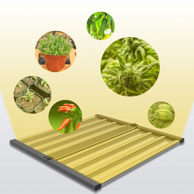 Qualität  Seed Seed Growing Full Spectrum 600W Indoor Plants Hydroponic Lamp Folding Greenhouse Lamp Dimmable 4x4 lm301h Led Grow Light usine