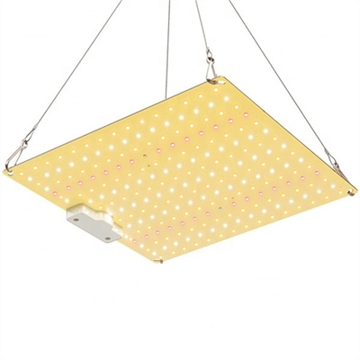 Seed Starting High Quality 600W Full Spectrum Grow Lights Adjustable Height For Sowing Or Flower All Country Plugs