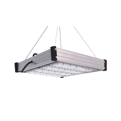 Seed starting LM301B chip 240w to grow light for veg and flower